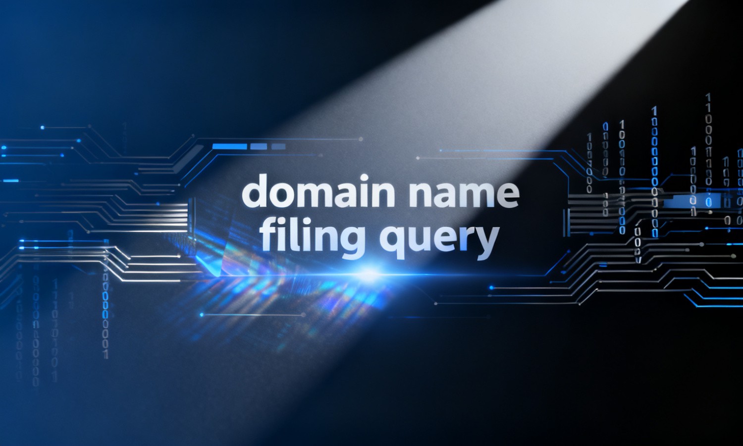domain name filing query