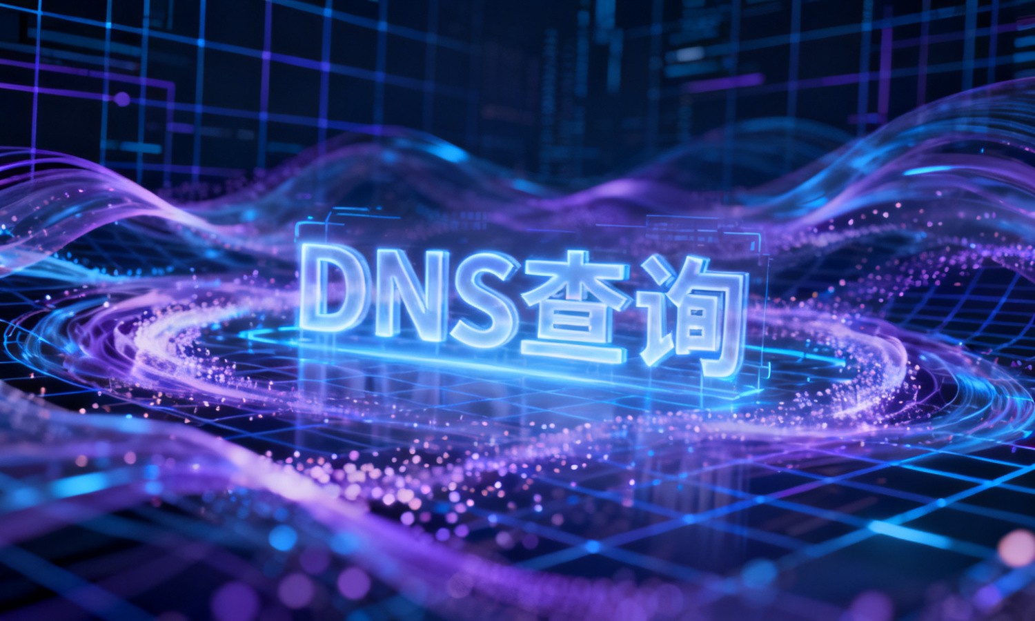 DNS查询