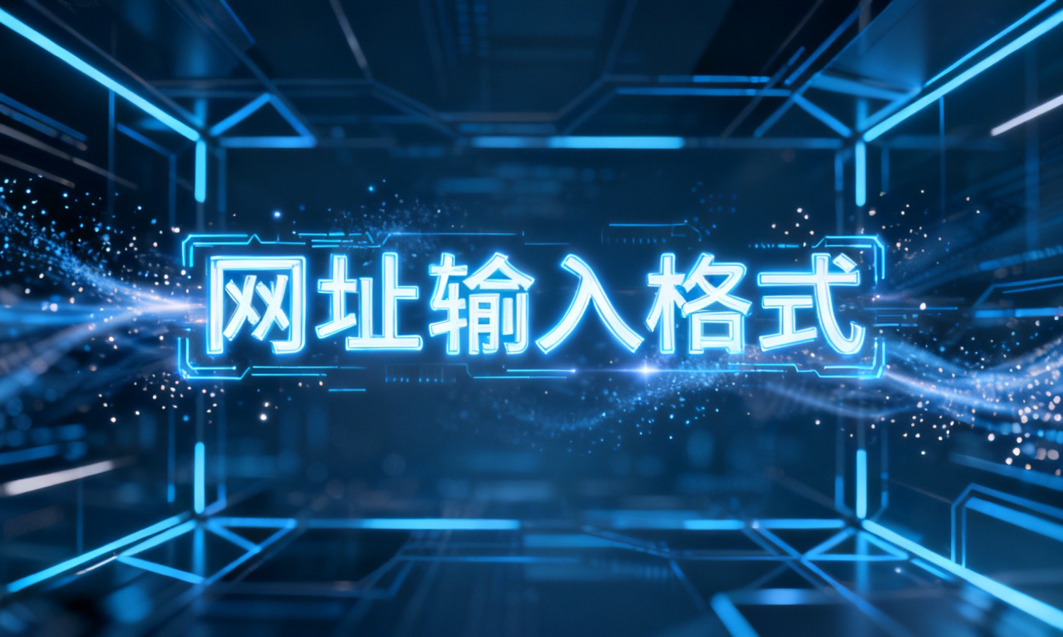 网址输入格式