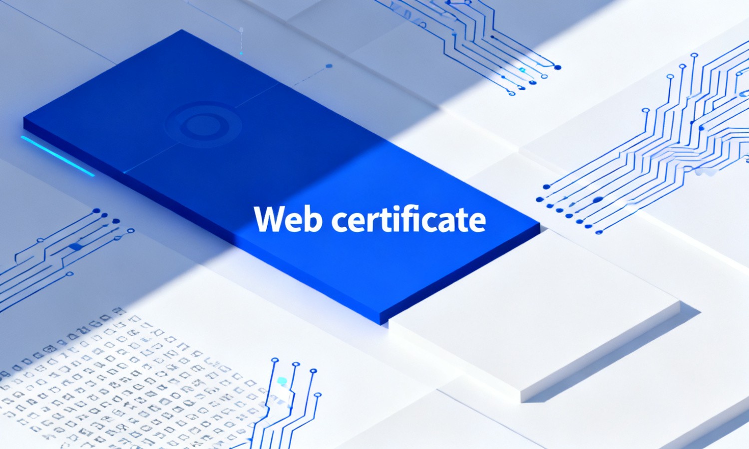 Web certificate