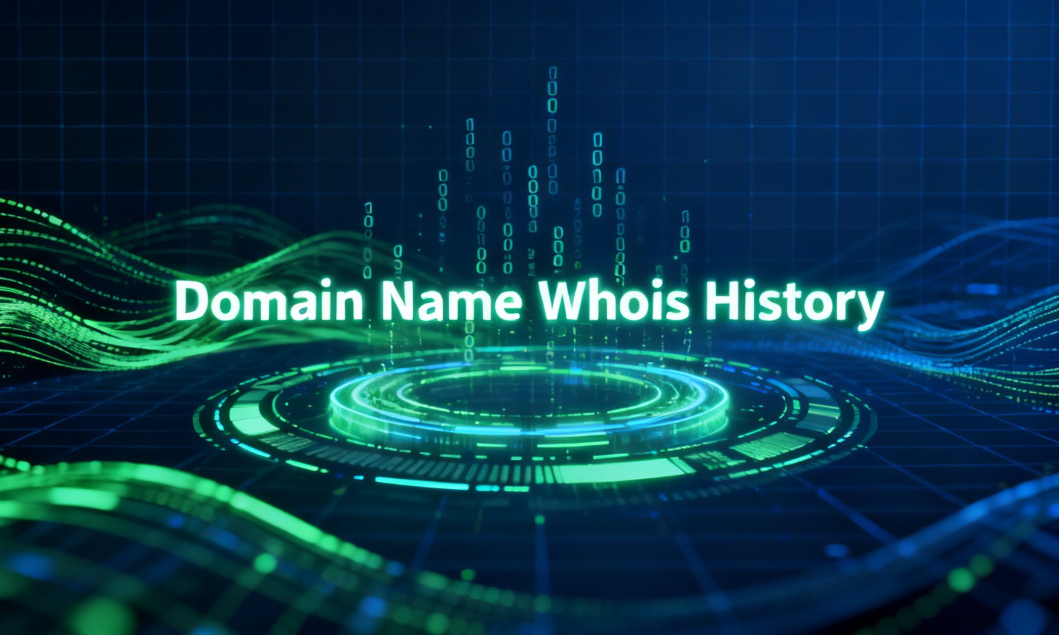 Domain Name Whois History
