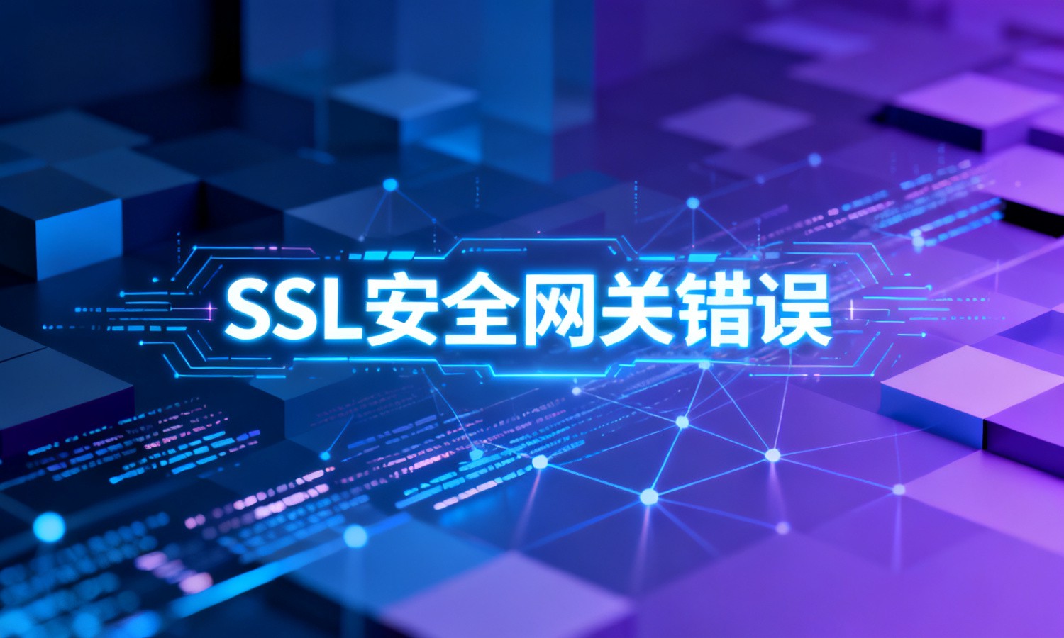 SSL安全网关错误