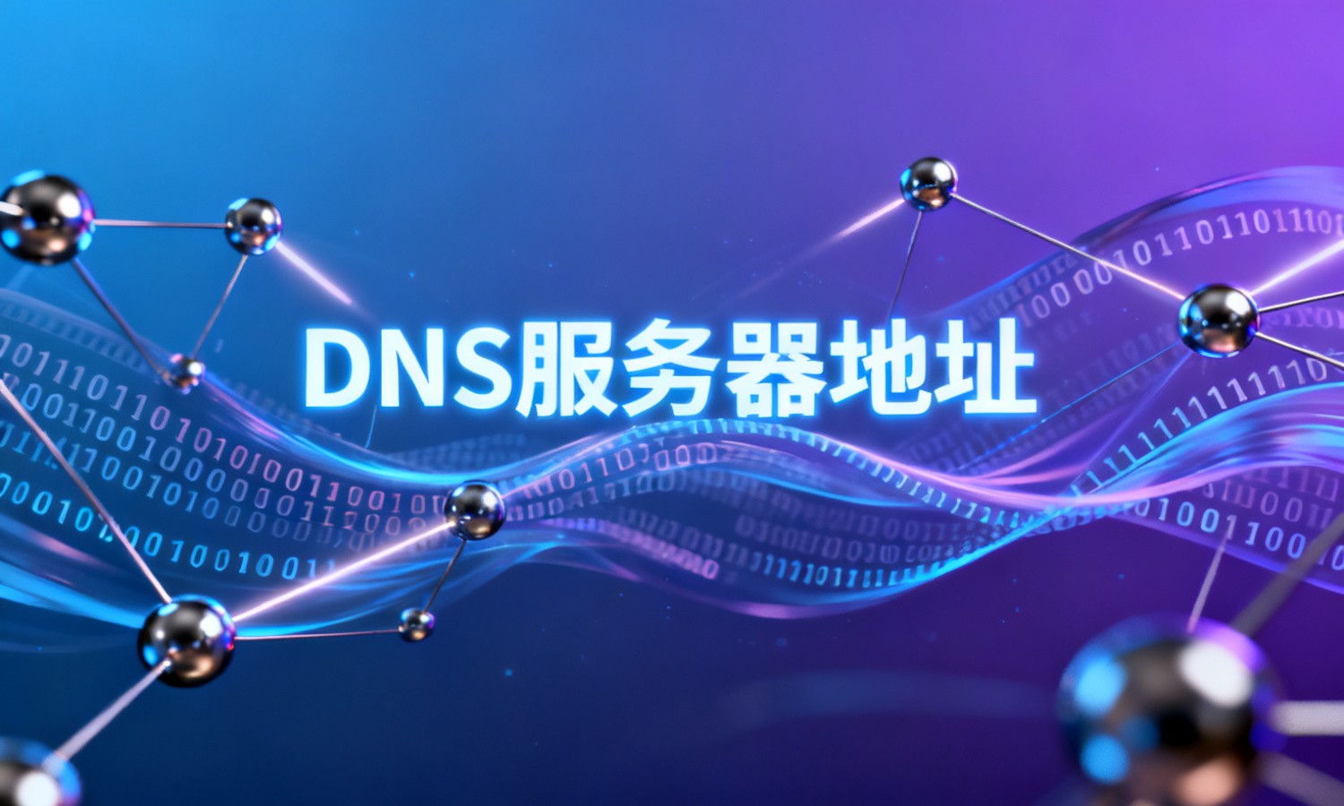 DNS服务器地址
