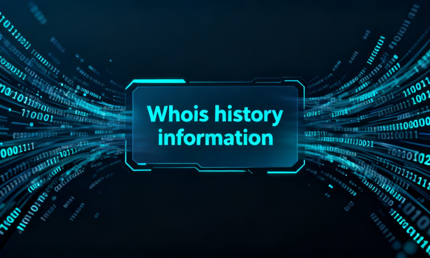 Whois history information