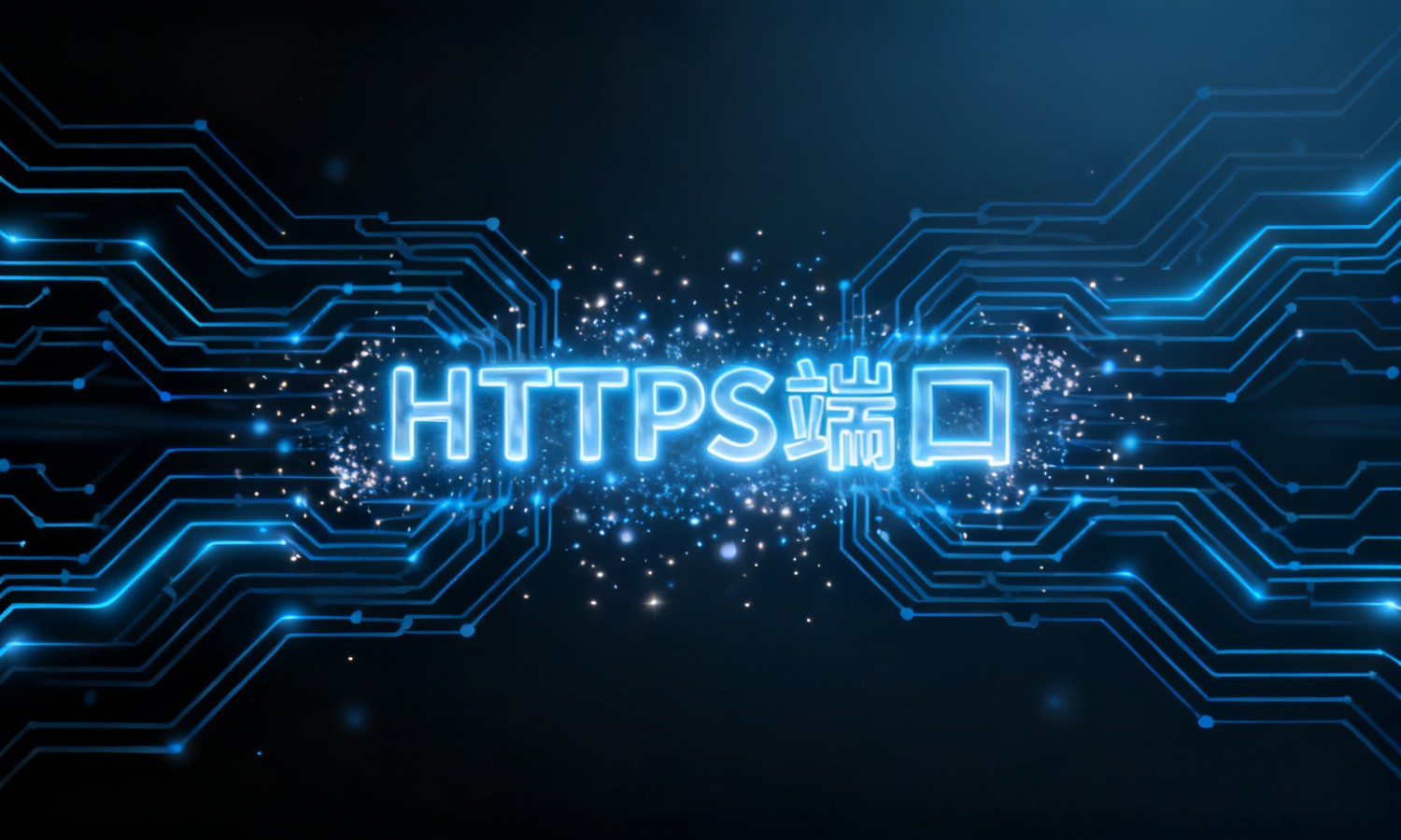 HTTPS端口
