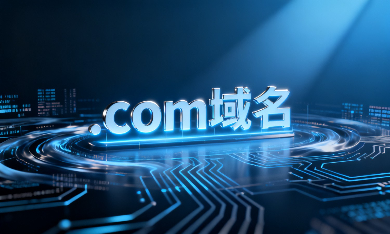 .com域名