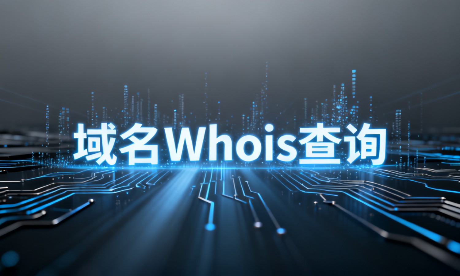 域名Whois查询