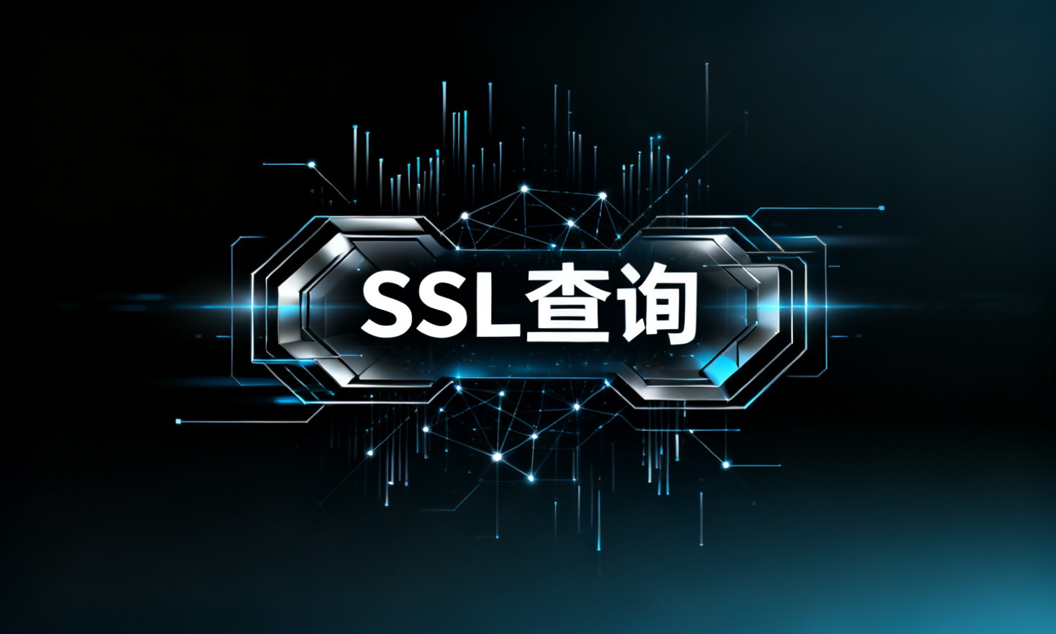 SSL查询