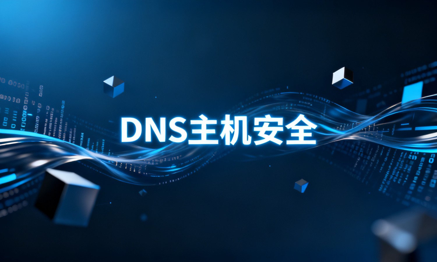 DNS主机安全