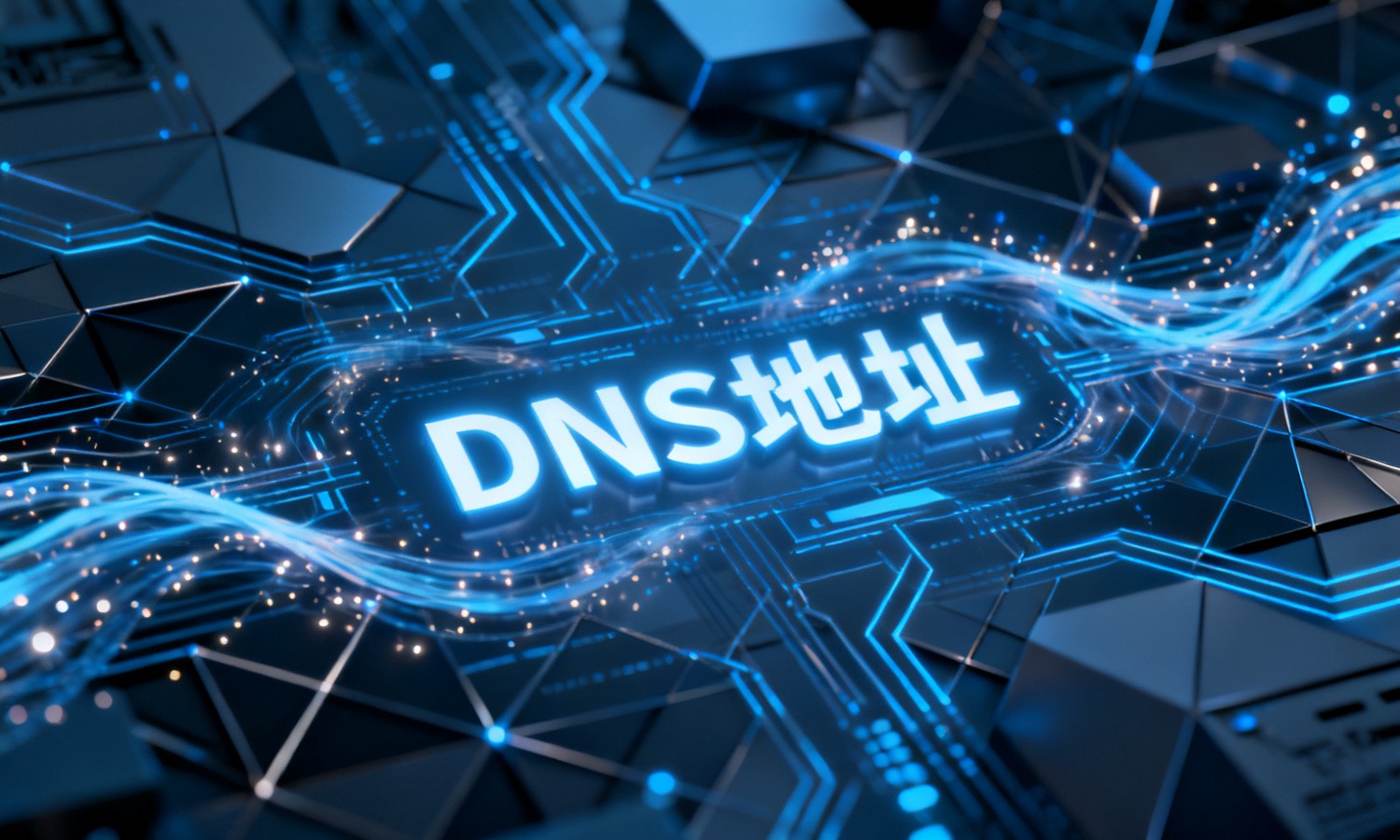 DNS地址