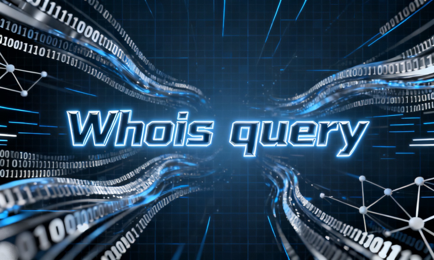 Whois query
