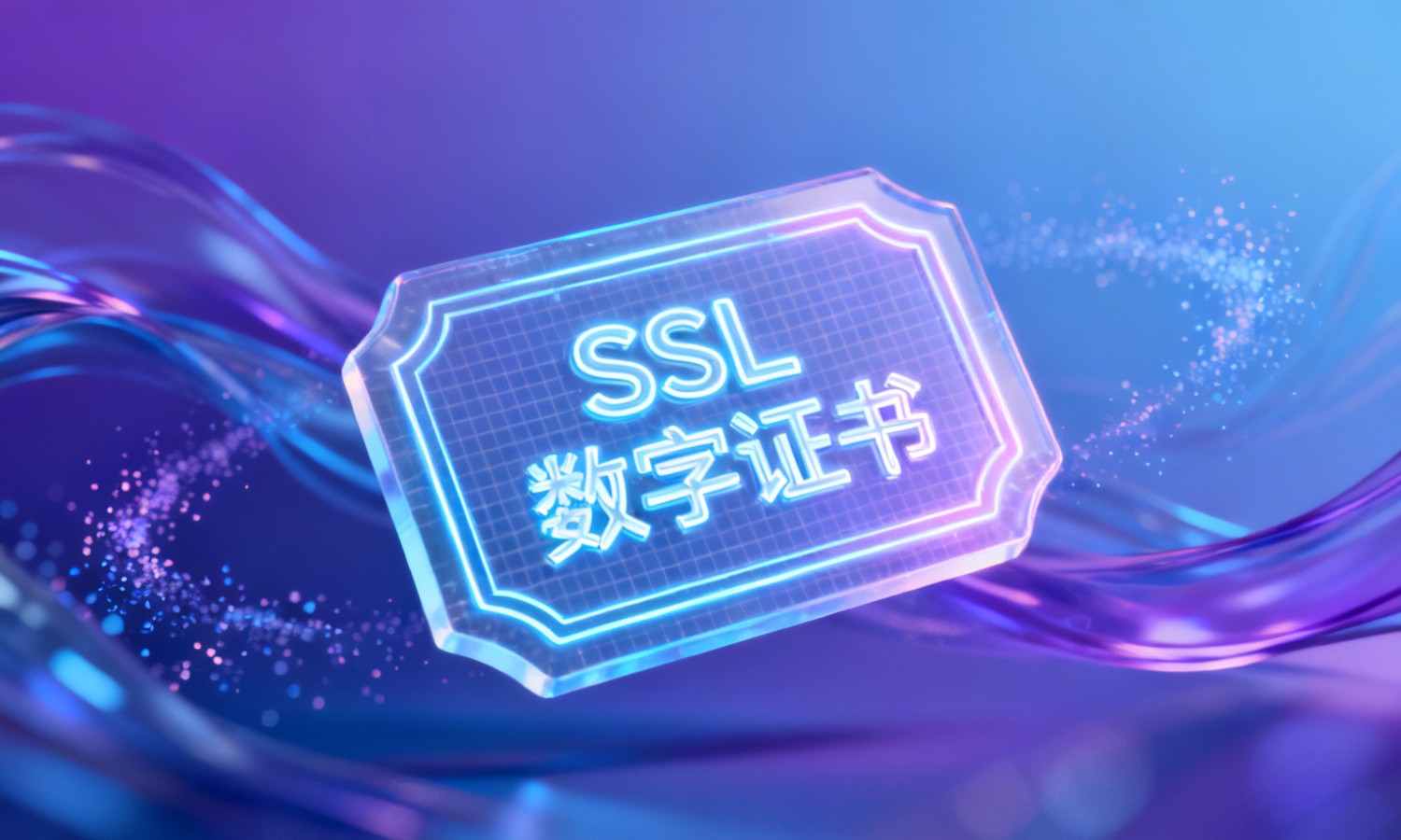 SSL数字证书