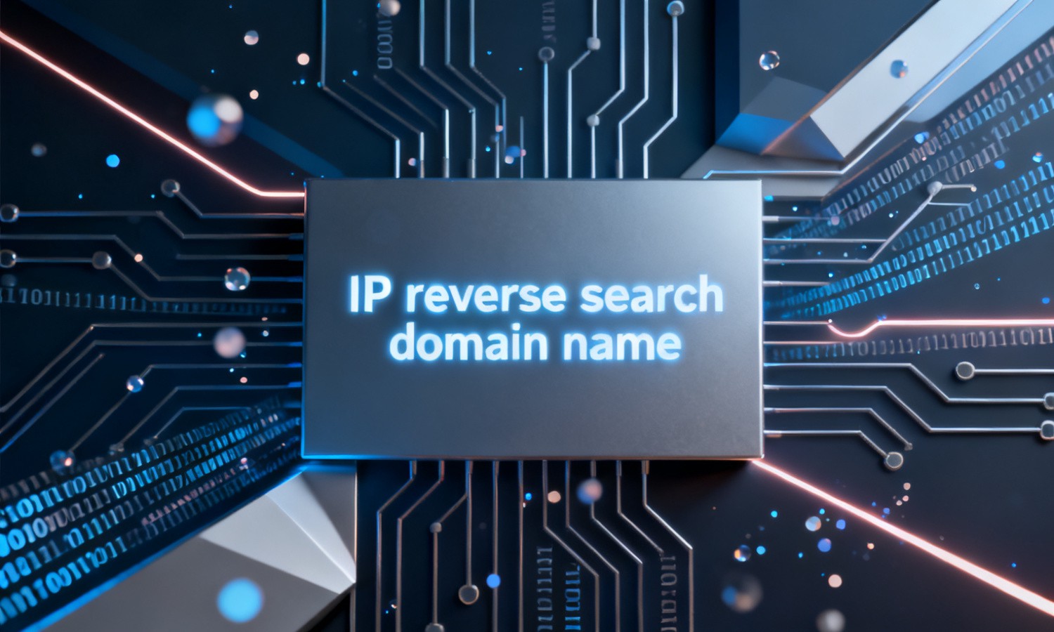 IP reverse search domain name
