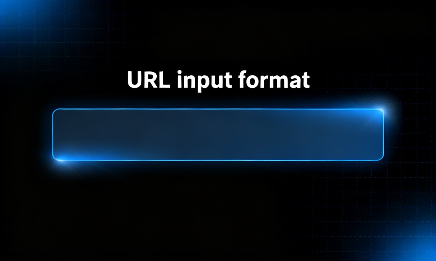 URL input format