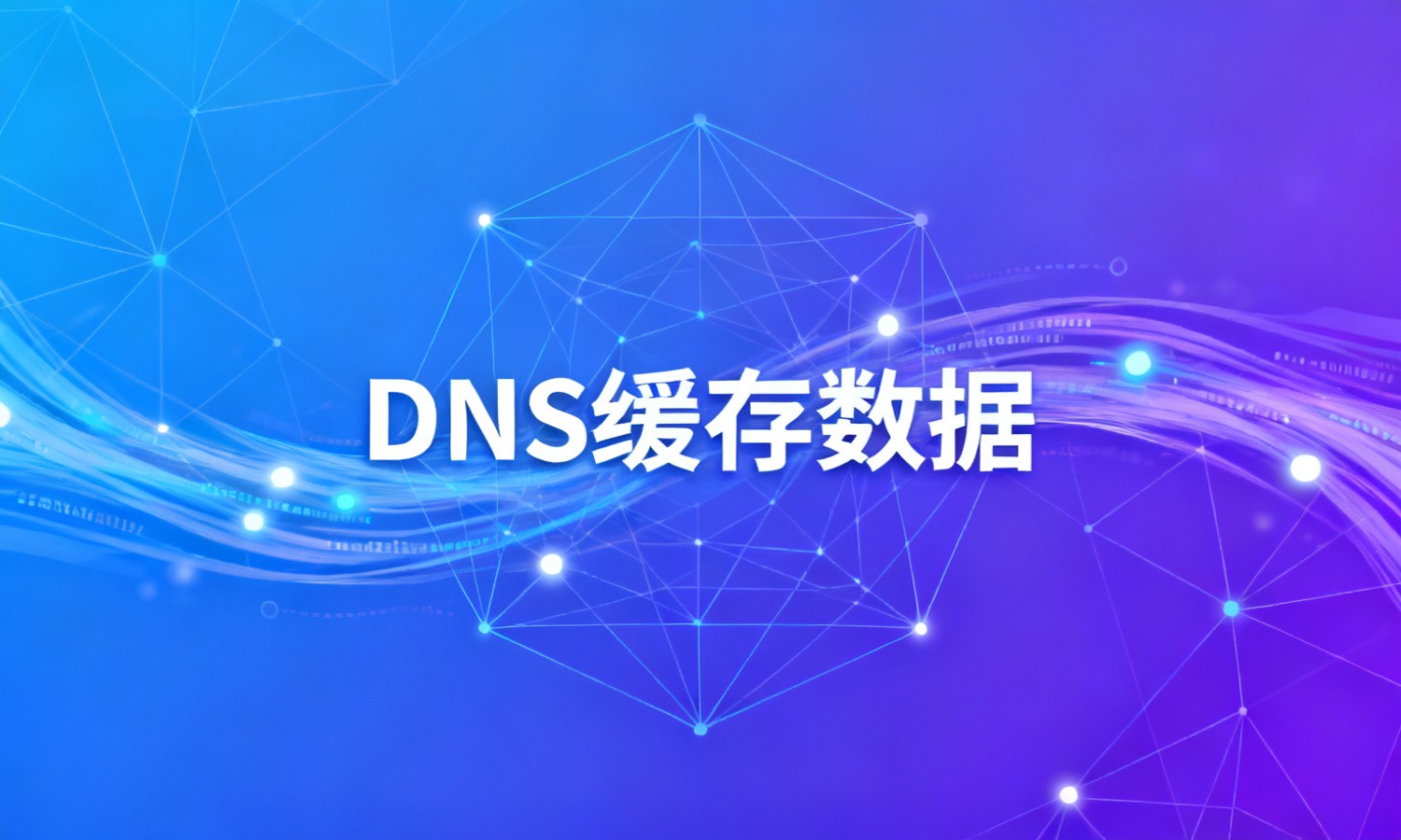 DNS缓存数据