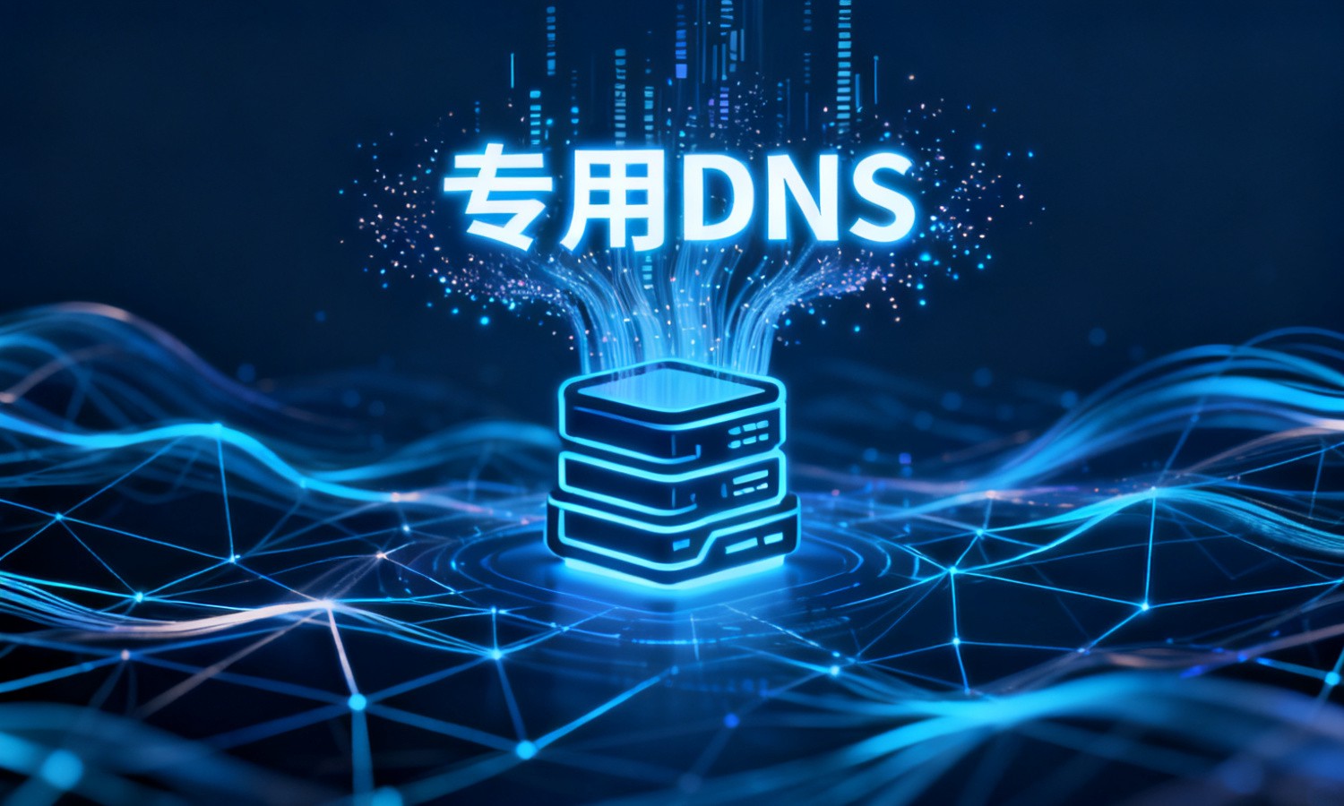 专用DNS