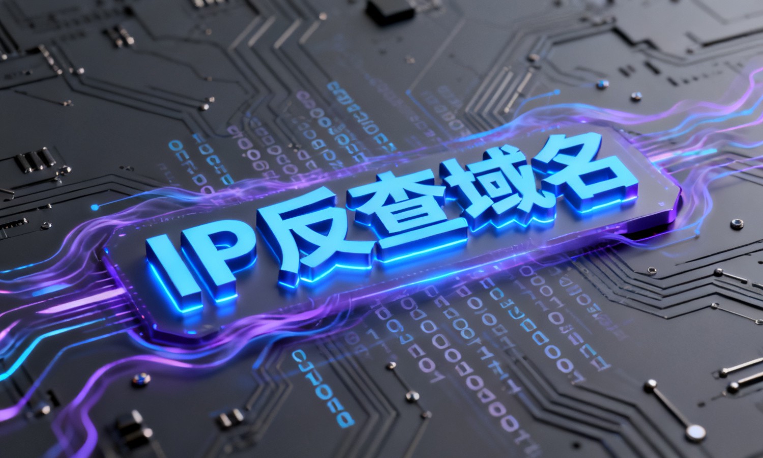 IP反查域名