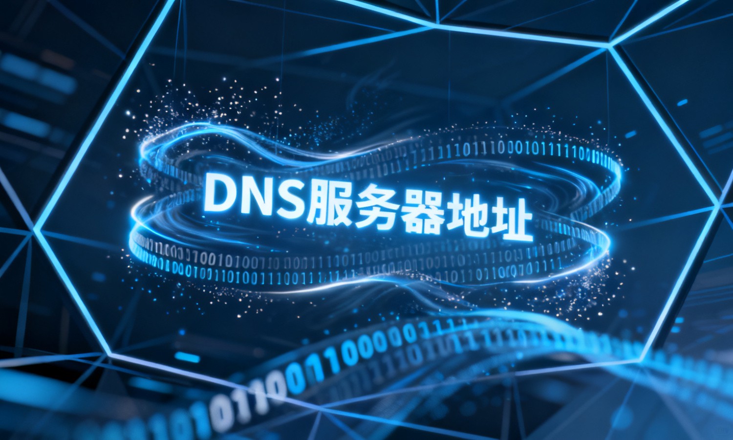 DNS服务器地址