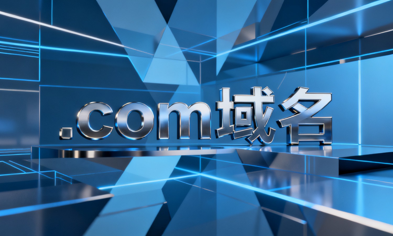 .com域名