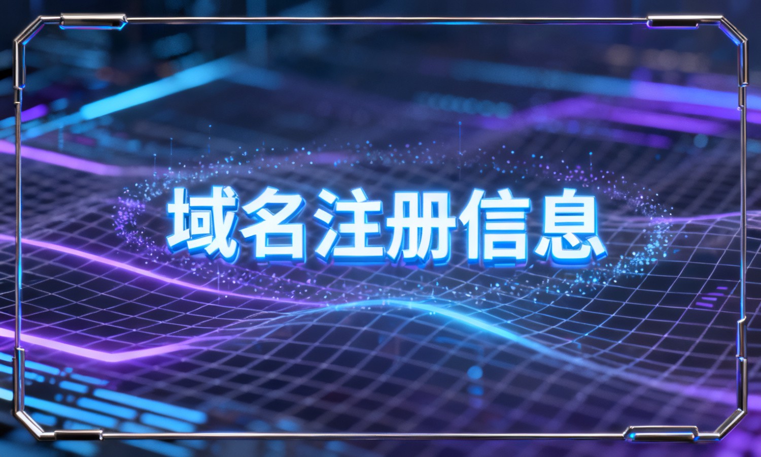 域名注册信息