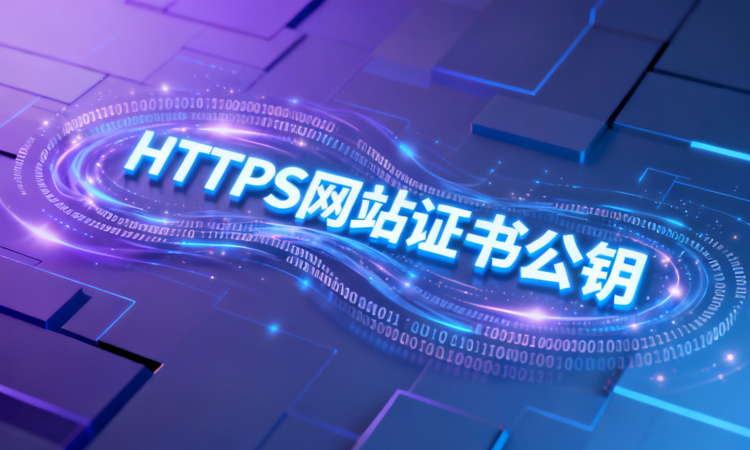 HTTPS网站证书公钥