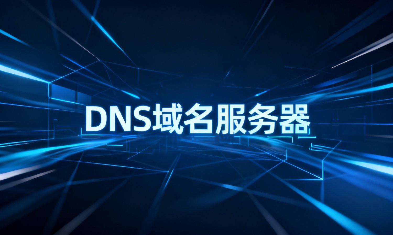 DNS域名服务器