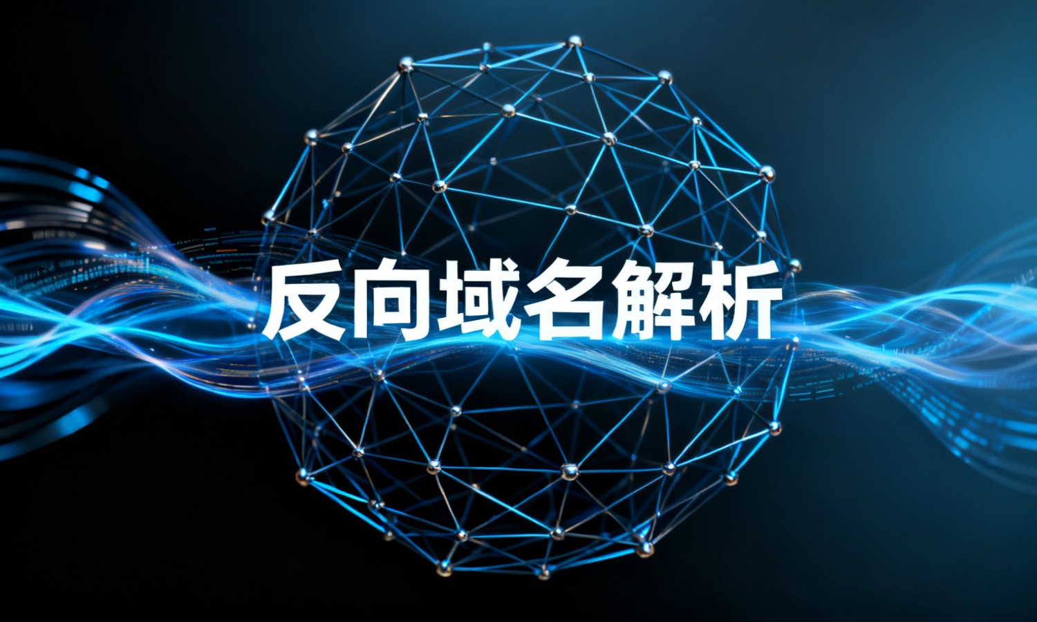 反向域名解析