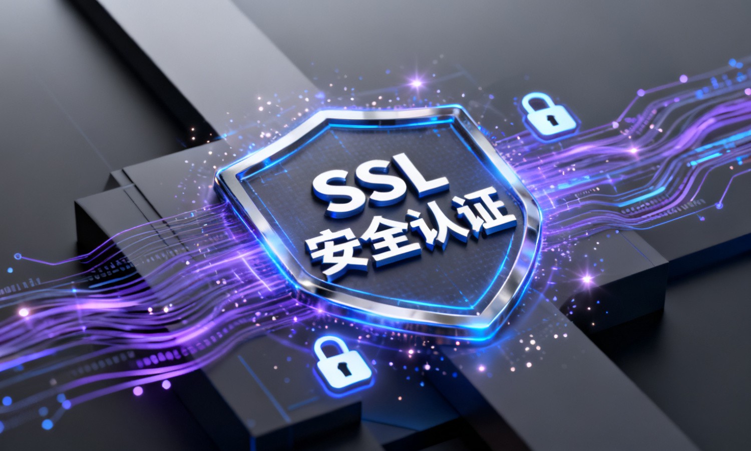 SSL安全认证