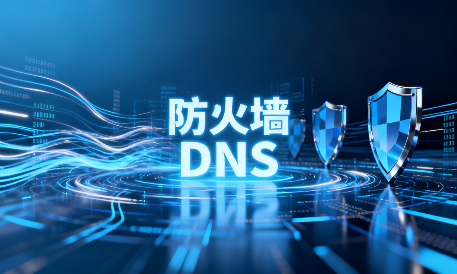 防火墙DNS