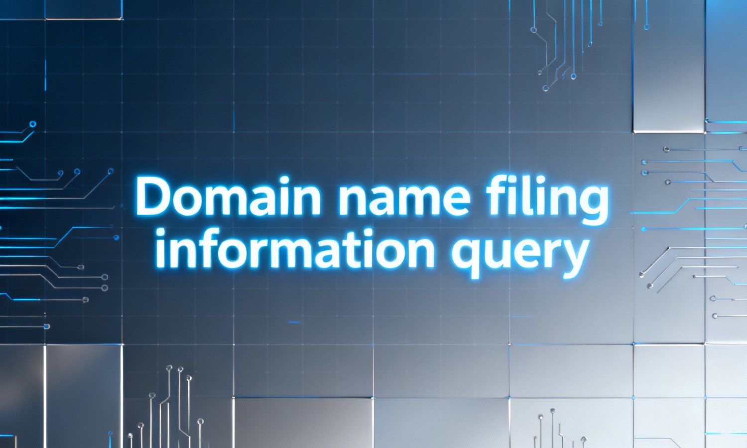 Domain name filing information query