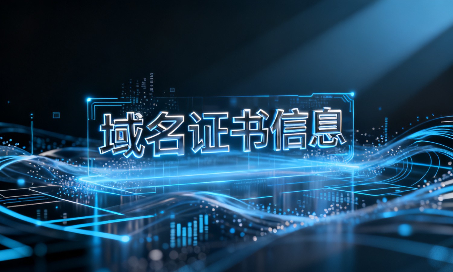 域名证书信息