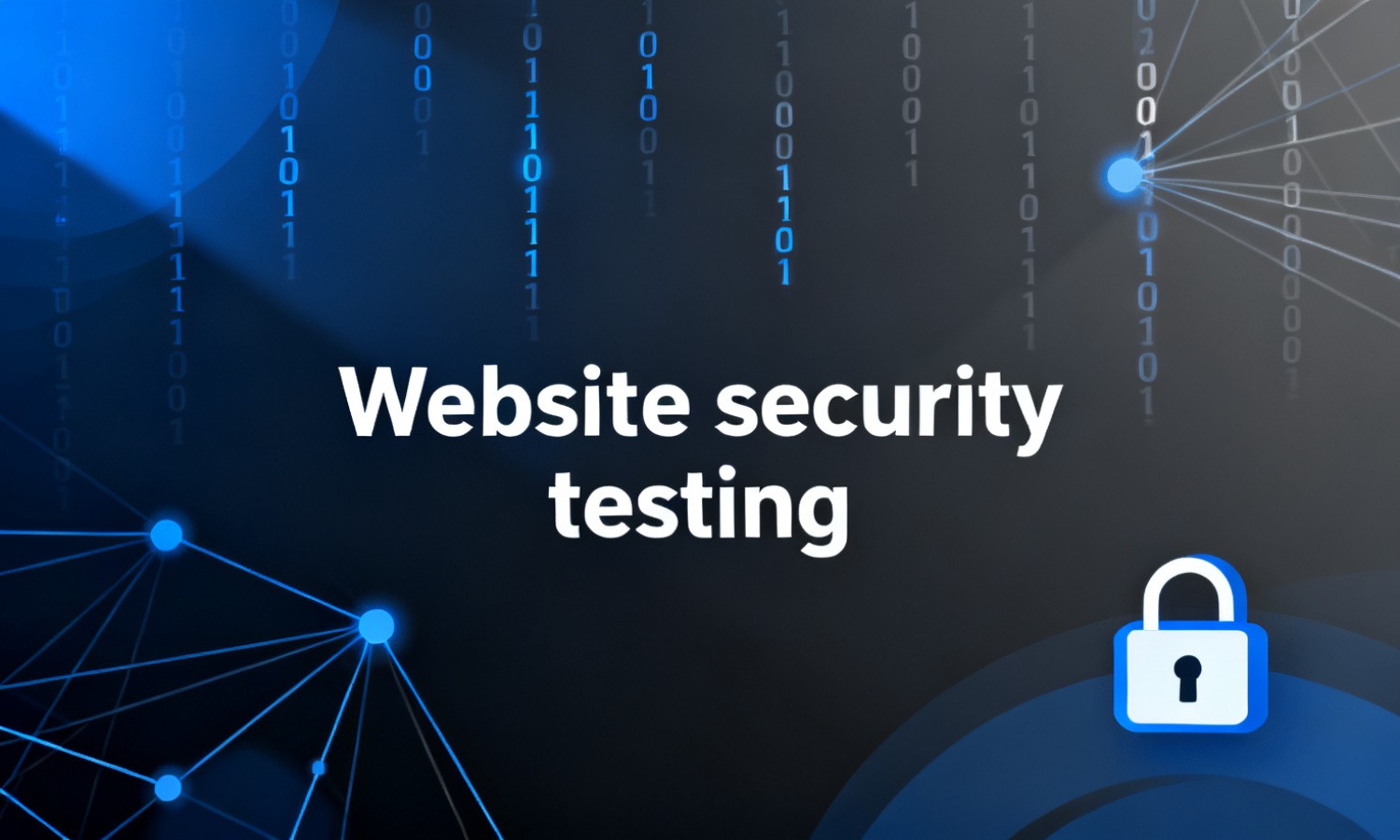 Website security testing