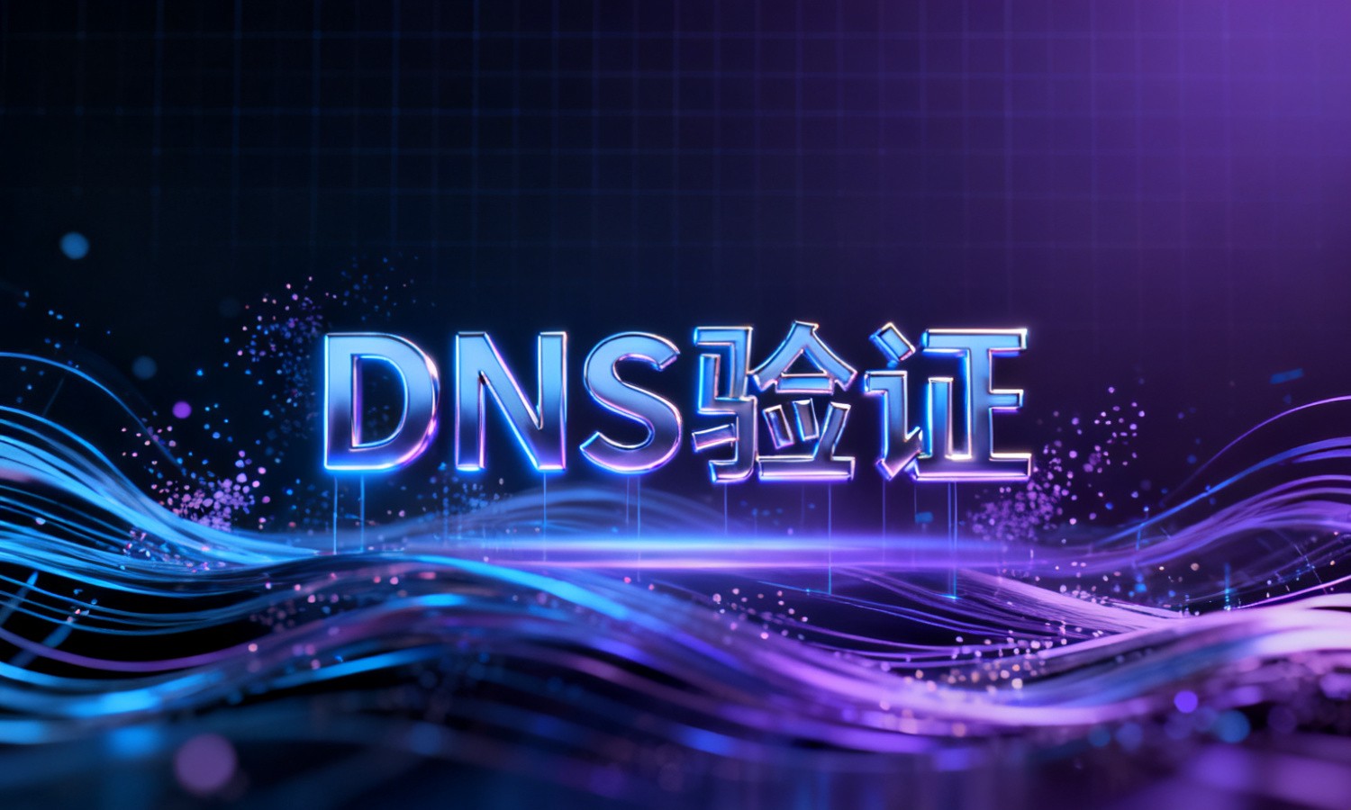 DNS验证