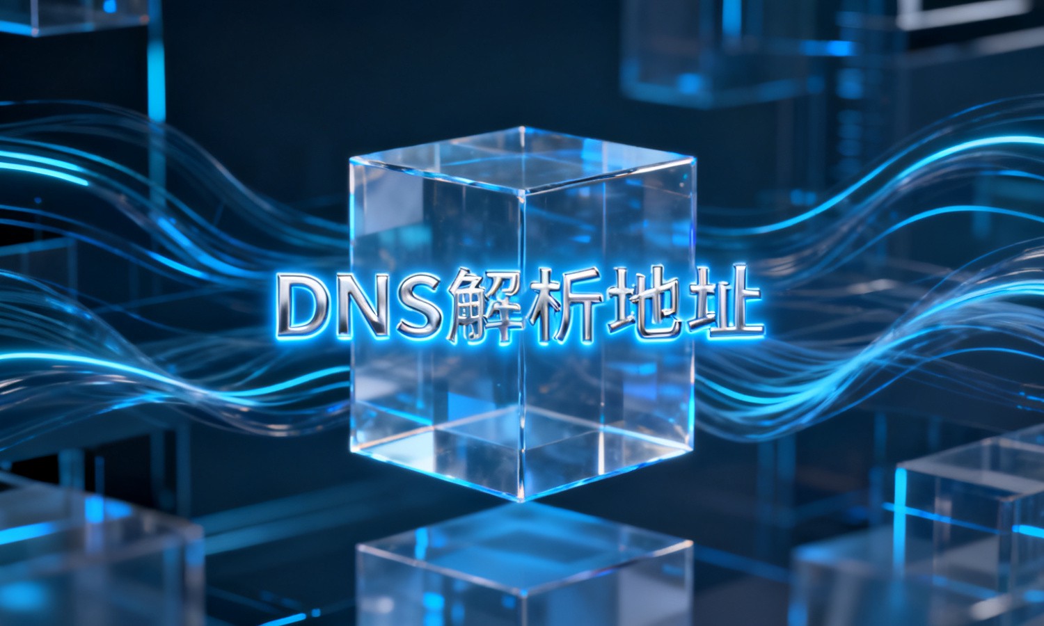 DNS解析地址