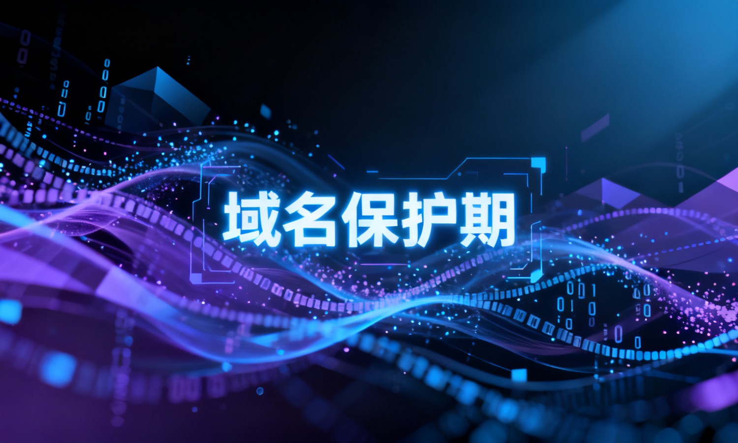 域名保护期