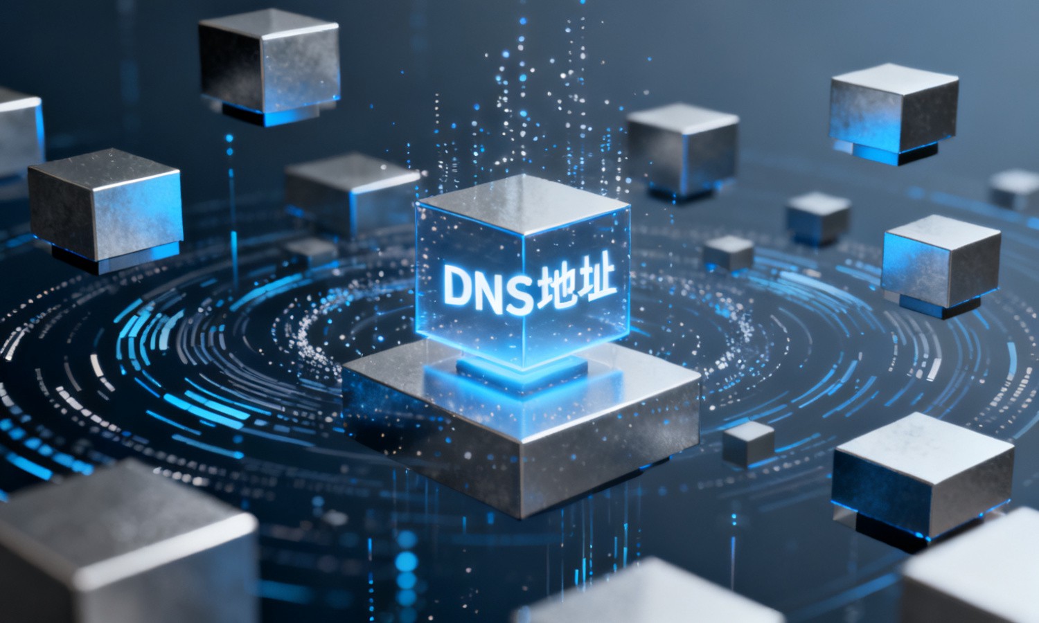 DNS地址