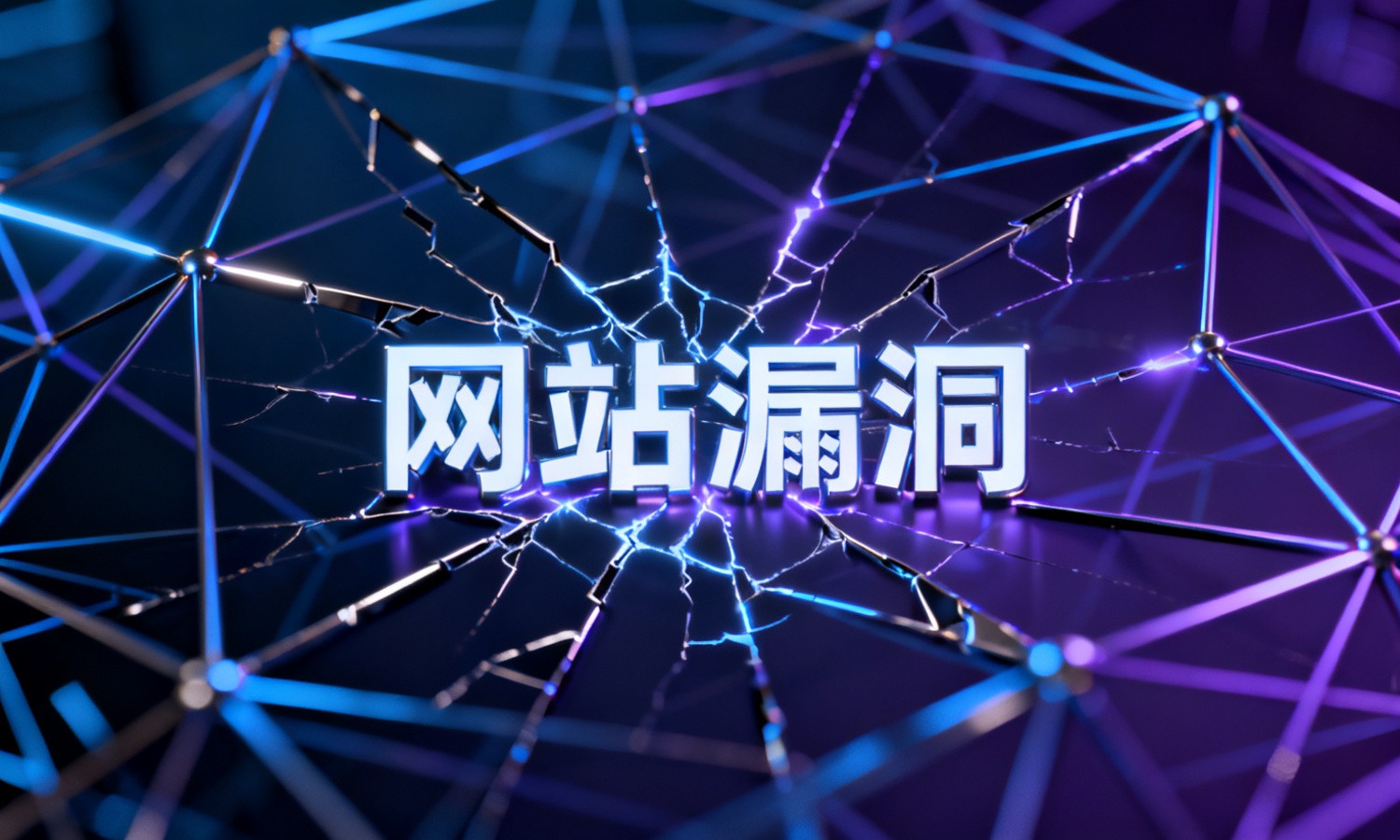 网站漏洞