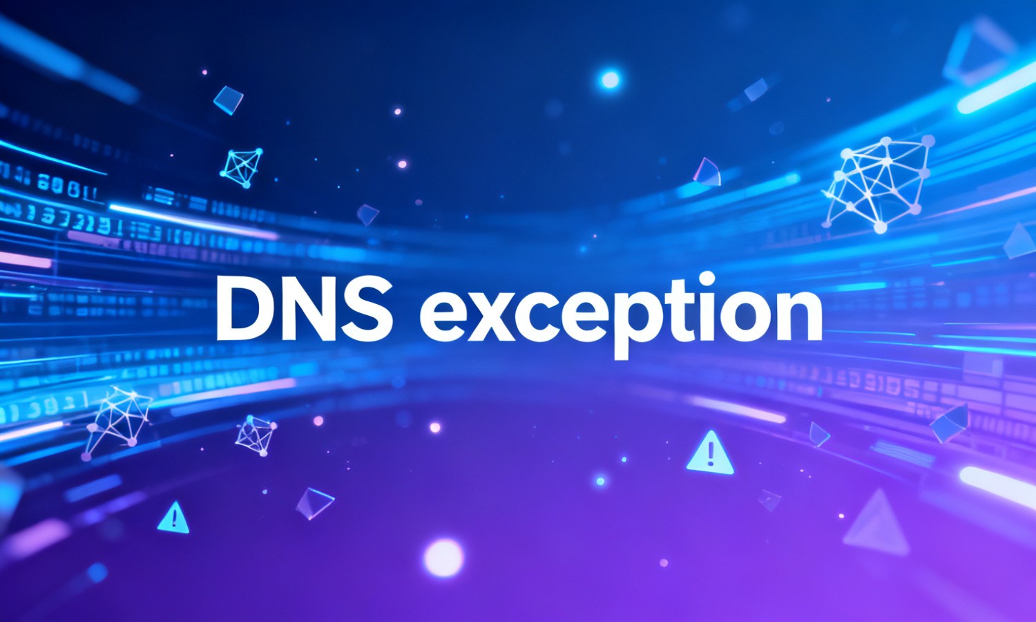 DNS exception