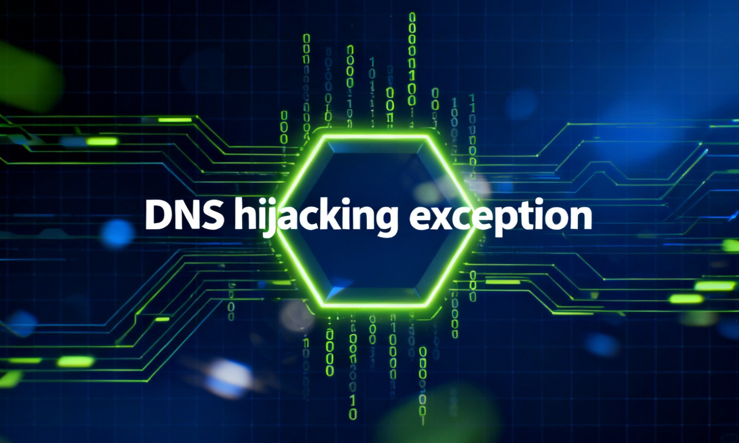 DNS hijacking exception