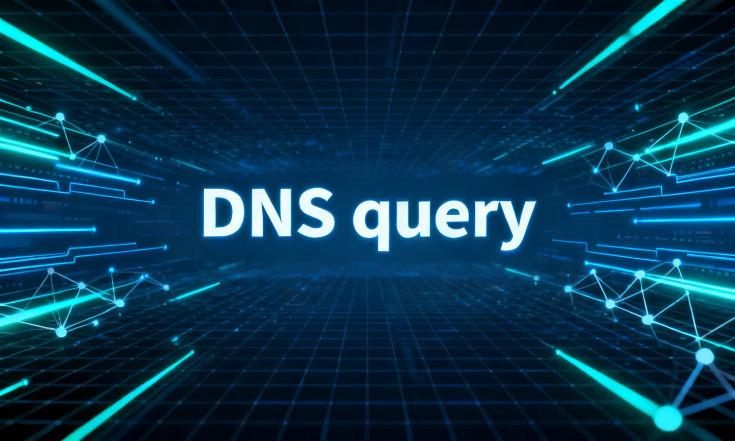 DNS query