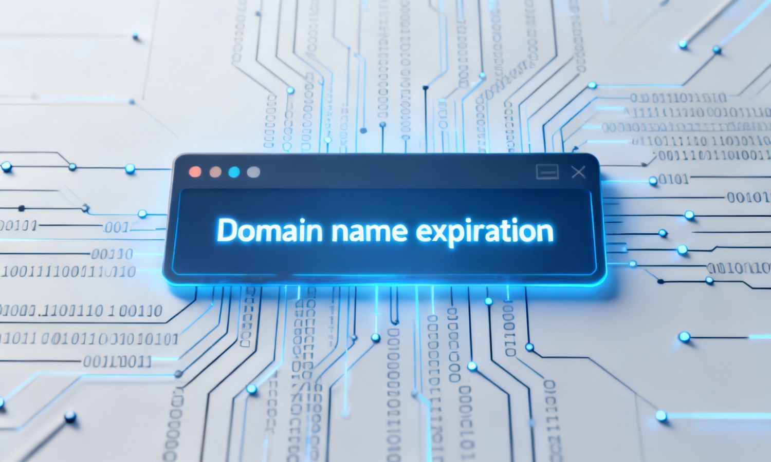 Domain name expiration