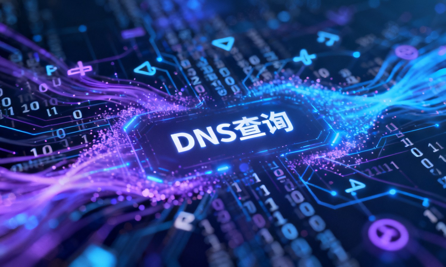 DNS查询