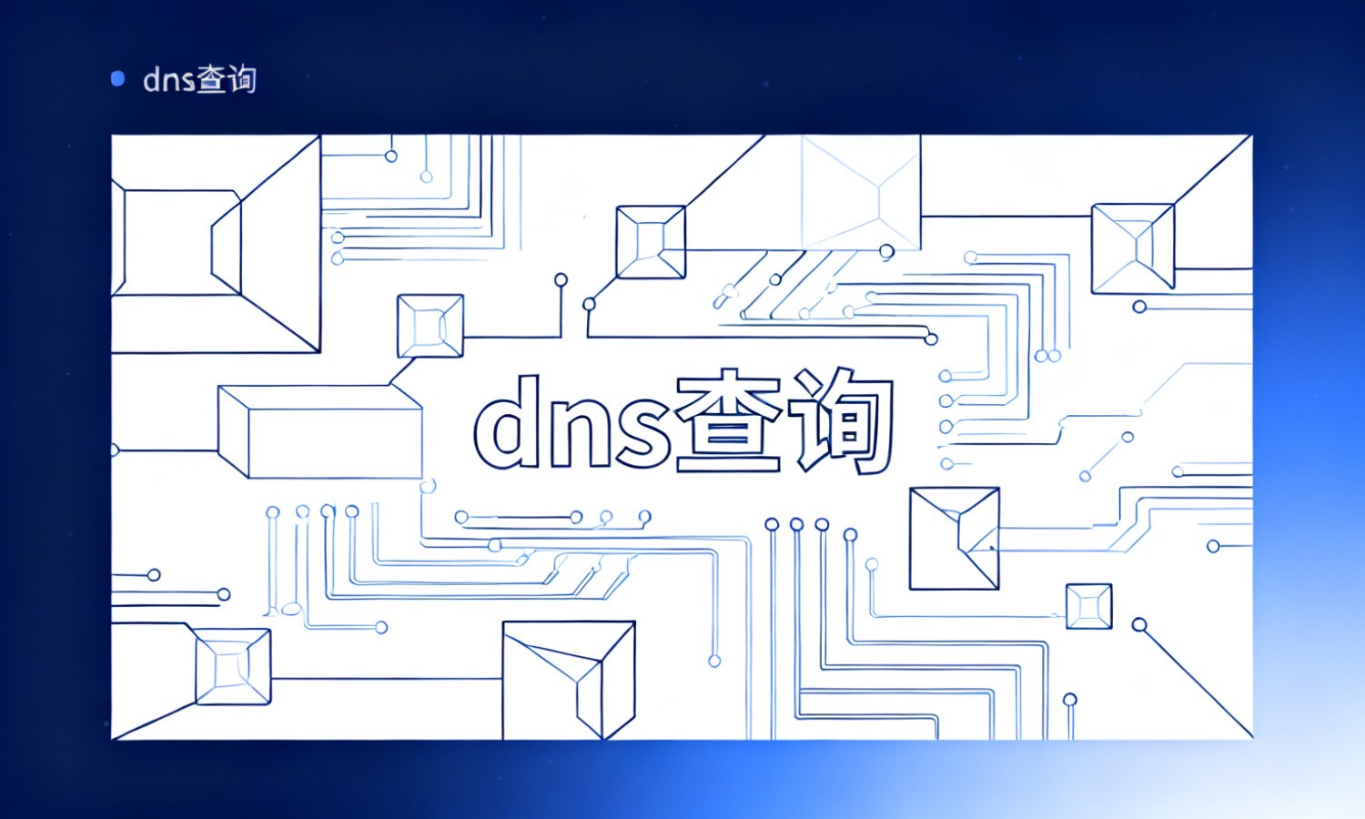 dns查询