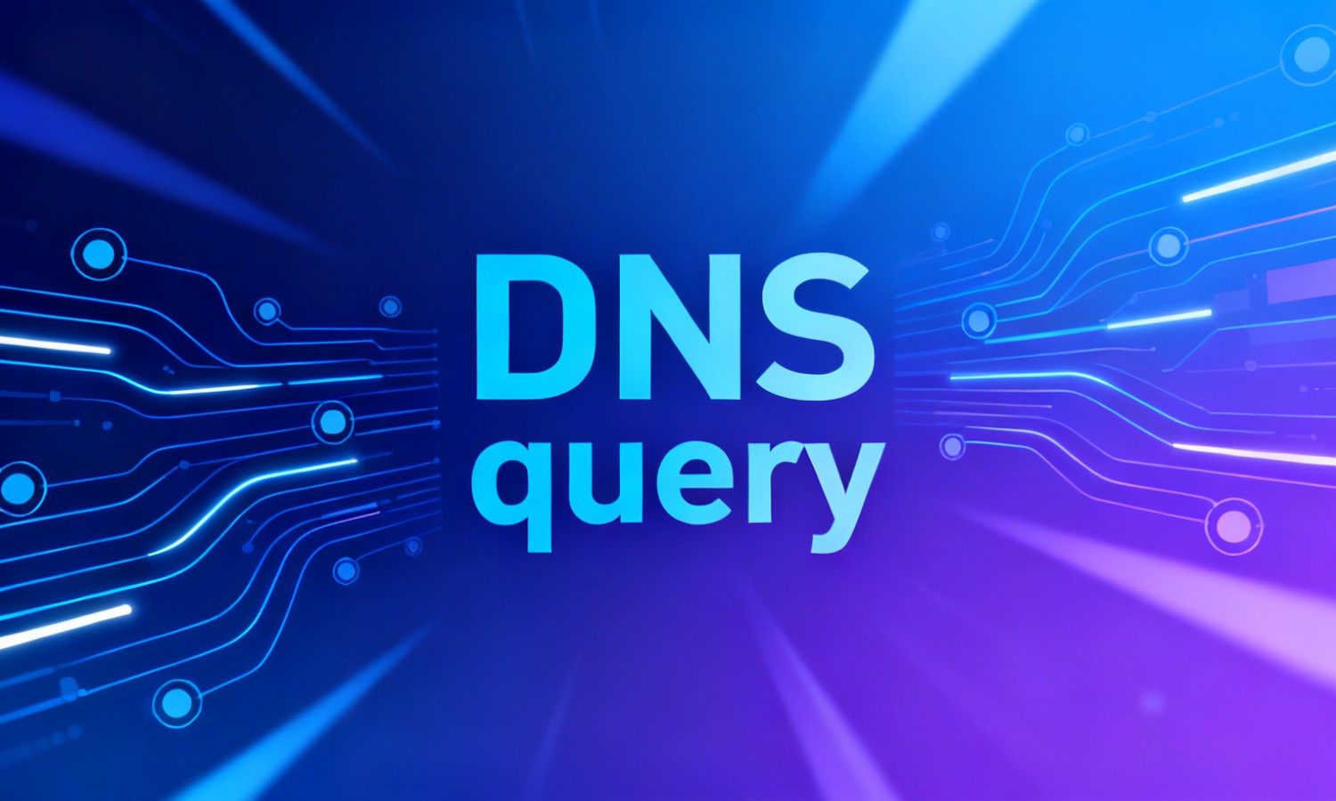 DNS query