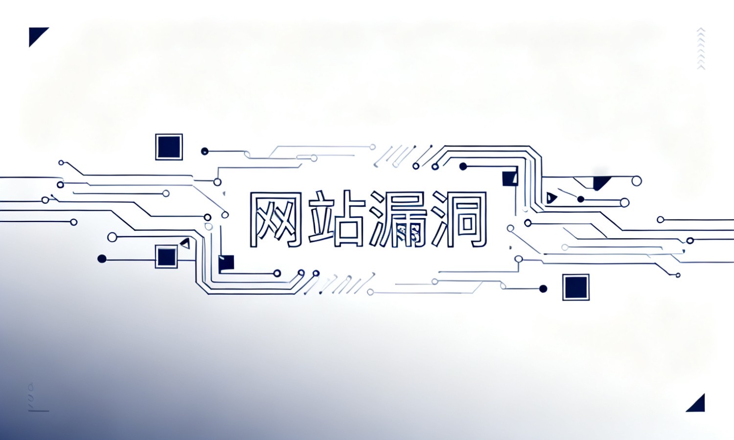 网站漏洞