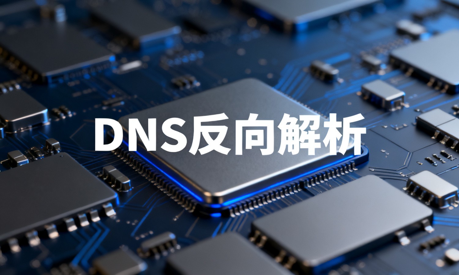 DNS反向解析