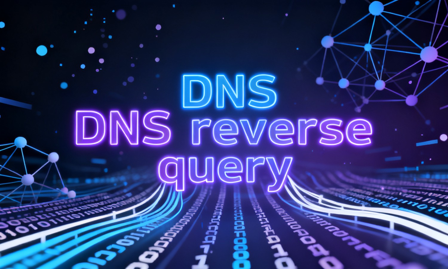 DNS reverse query