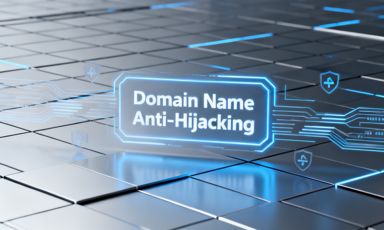 Domain Name Anti-Hijacking
