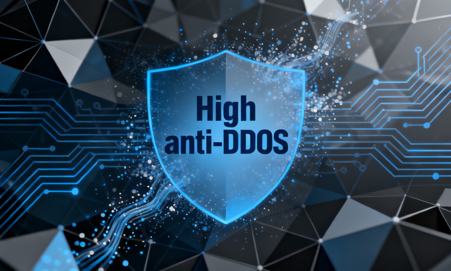 High anti-DDOS