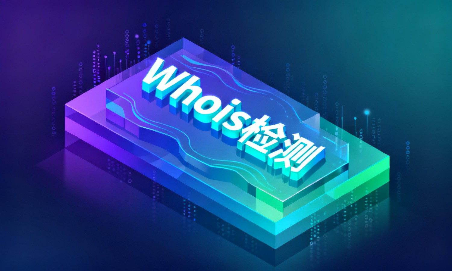 Whois检测
